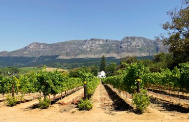 Panorama of Cape Dutch homestead on a wine farm