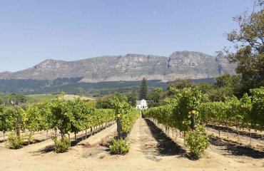 Wein Gehöft Nähe Kapstadt - awiebadenhorst Fotolia